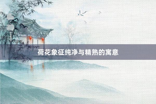 荷花象征纯净与精熟的寓意