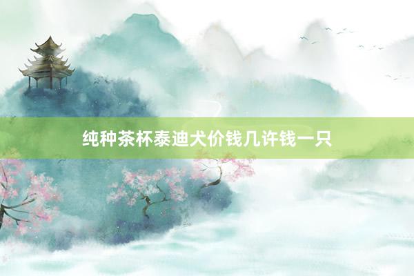 纯种茶杯泰迪犬价钱几许钱一只