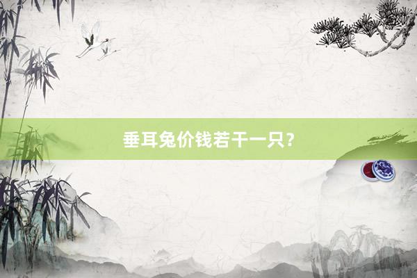 垂耳兔价钱若干一只？