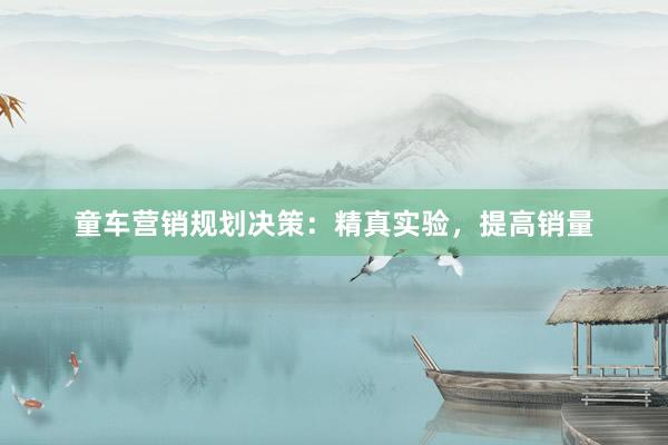 童车营销规划决策：精真实验，提高销量